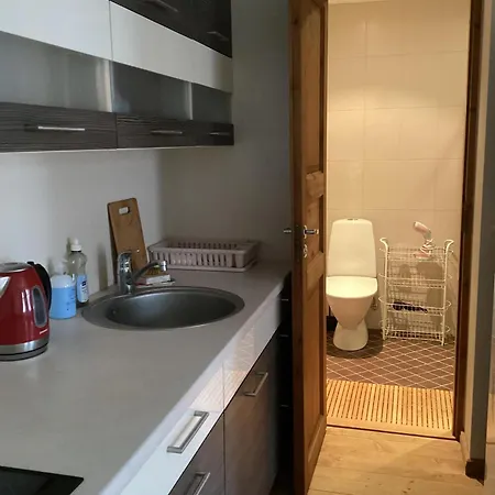 Studio apartment Tartu Esterno foto